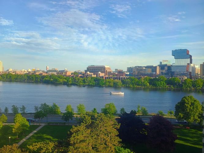 View from living room