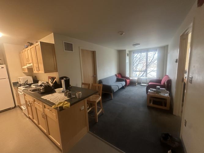 Living room and kitchen