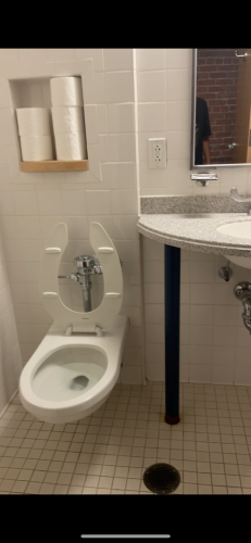 Sink and toilet
