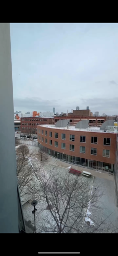 Yard view in winter