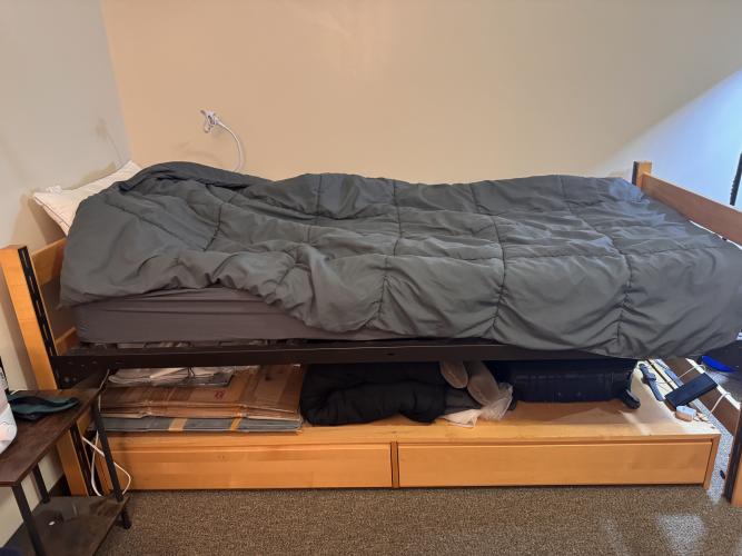 Bed