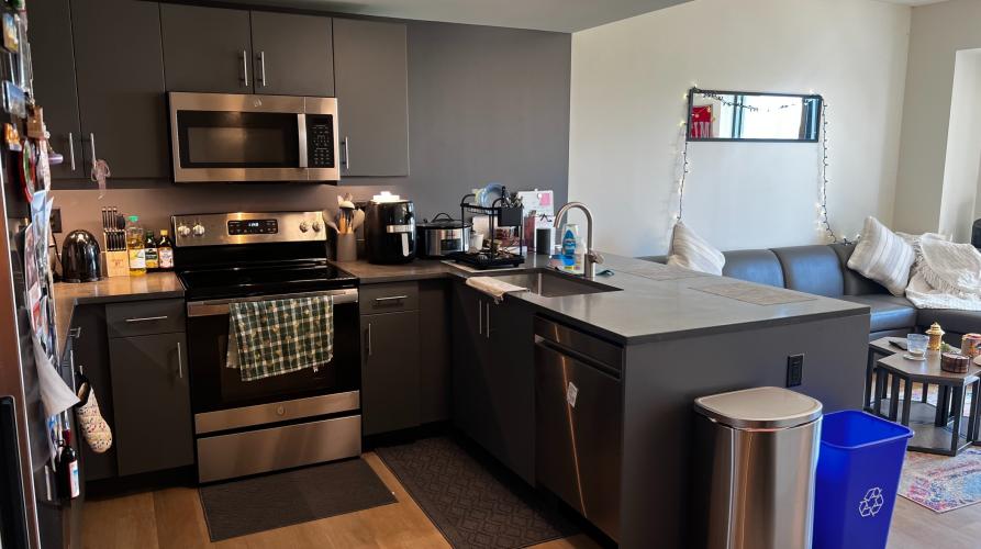 Kitchen view 2