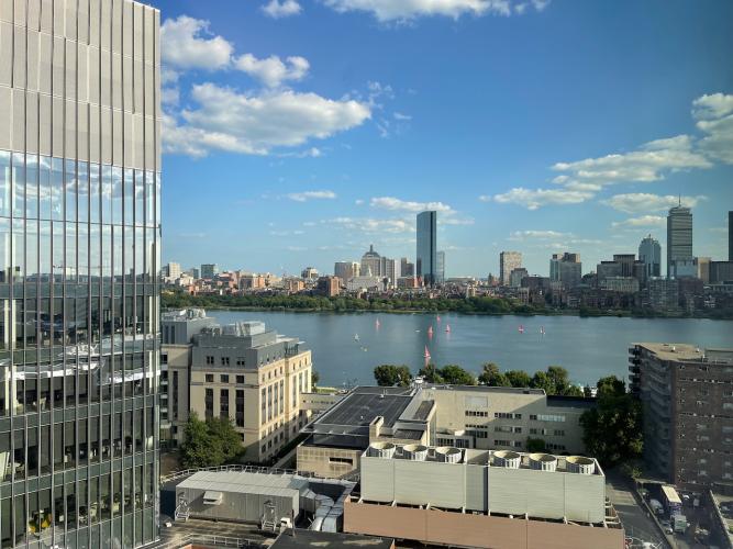 room view