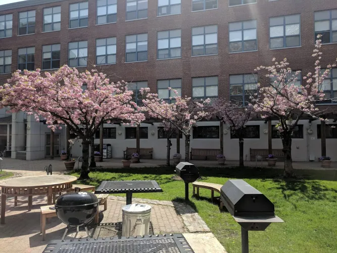 courtyard- bbq space
