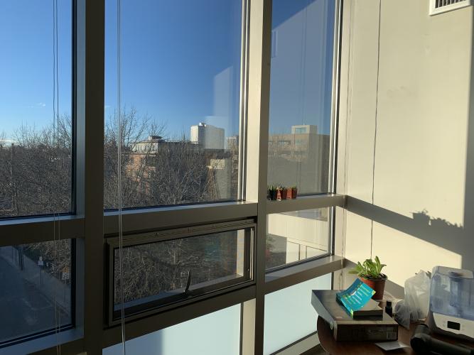 Window view