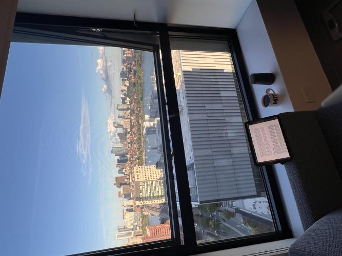 Day view from the window sofa seating