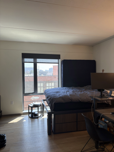 Living room / bedroom