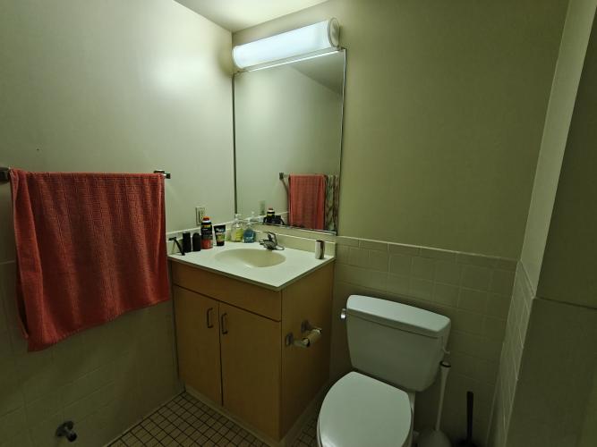 Bathroom sink