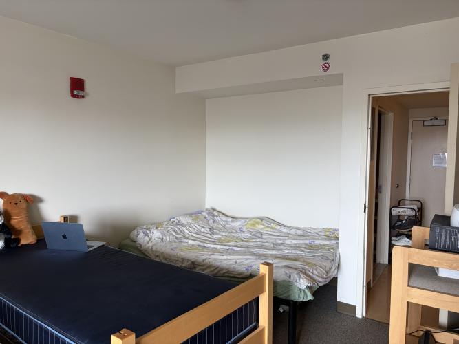 2 beds and projector, plenty of storage space on/beneath the twin bed