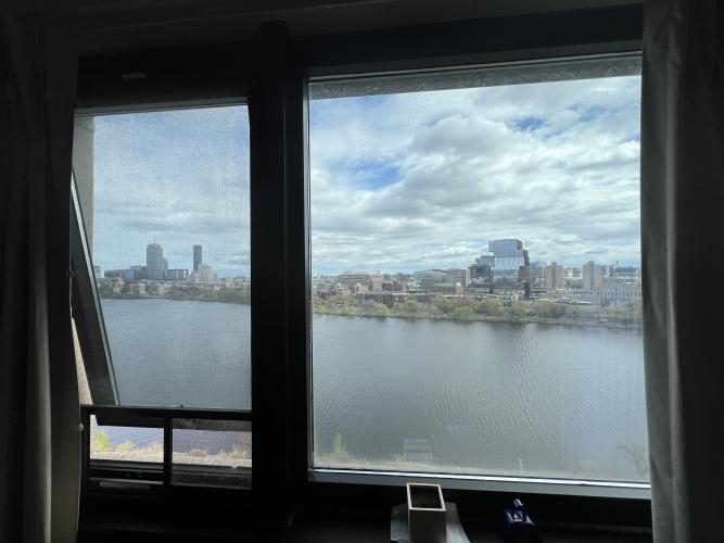 View from the room