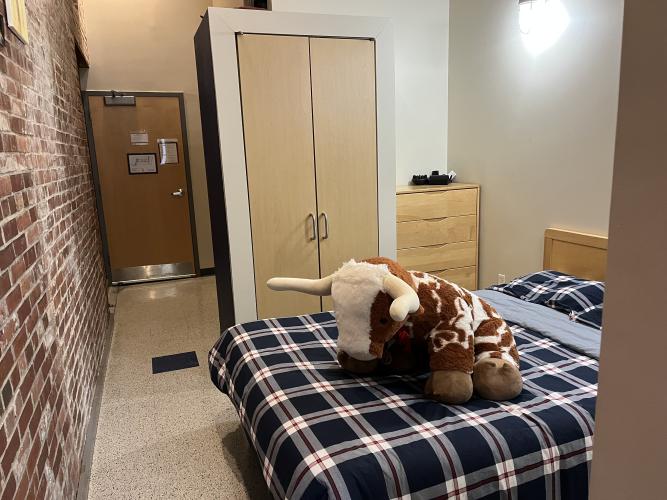 Bed and entrance