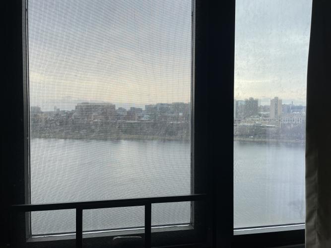 Scenic view from window.