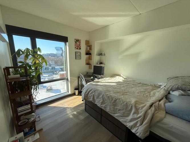 photo of the room