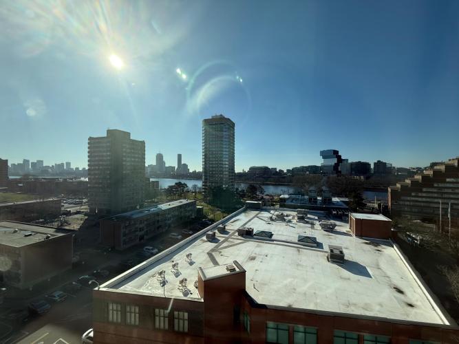 view