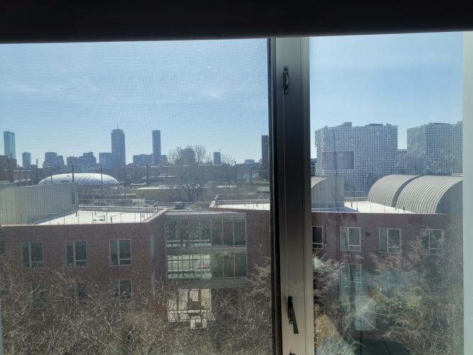 View from the window