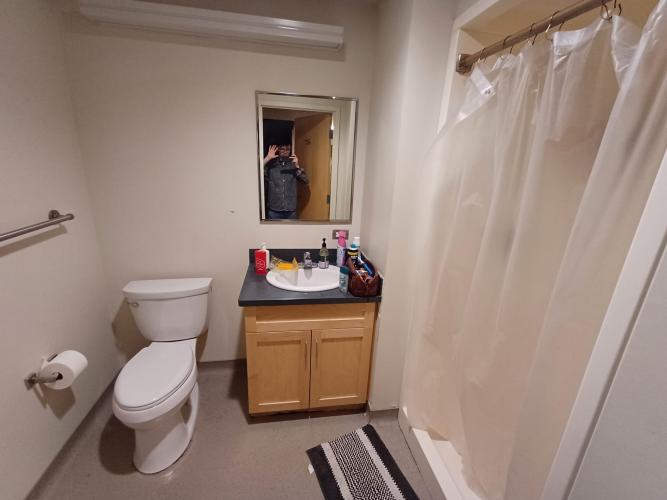 Bathroom including toilet (with safety rail), sink, under-sink cupboard and shower with shower curtain