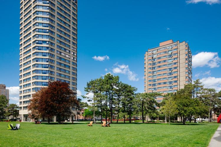 Lawns outside Tang Hall