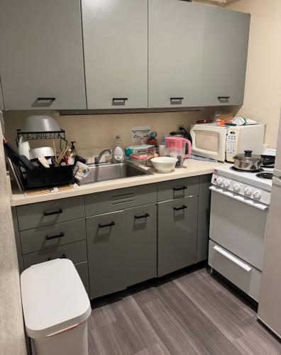 Furnished kitchen