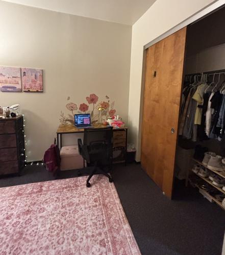 room - wardrobe view