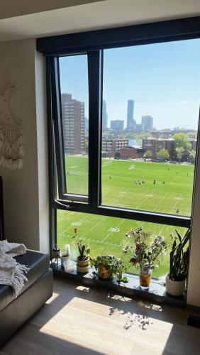 Living room view