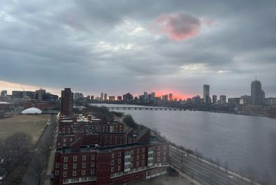 view from the room