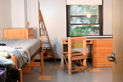 A sunny dorm room with a view into a tree and courtyard