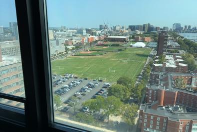 View from the bedroom