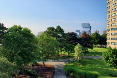 view from the living room