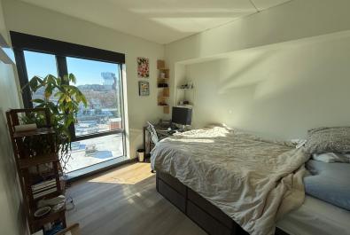 photo of the room