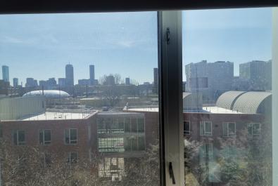 View from the window
